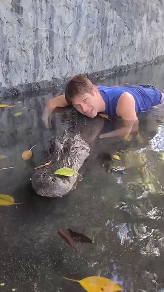 Casper the Friendly Alligator! #alligators #gators | Wild Charles