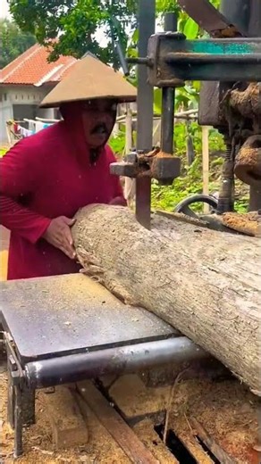 Teak Wood Split – Perfect Brown Inside! 🔥