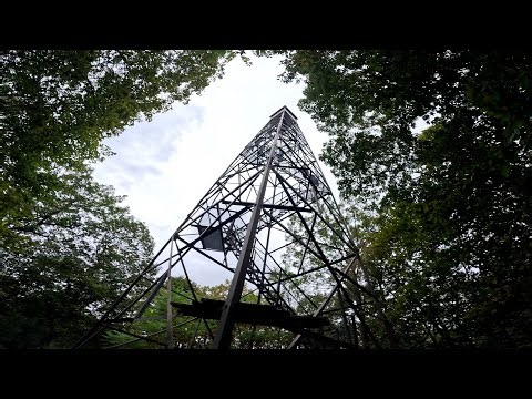 MTB - Ferncliff Forest, NY