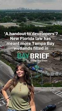 ‘A handout to developers’? New Florida law has meant more Tampa Bay wetlands filled in