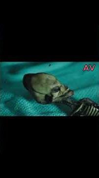 Part 3 : "The Mystery of Area 51: America’s Secret Base and Alien Secrets"