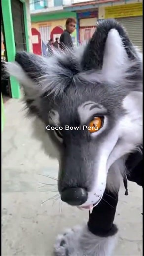 Captan a una señora paseando a un 'Therian' con correa en plena calle de Lima