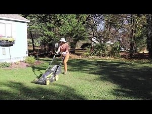 Overseeding a Lawn