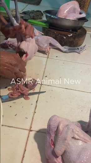 How to Clean Chicken Properly Before Cooking 🐔✨ | #Shorts Part 3