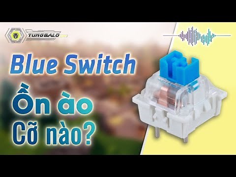 BLUE SWITCH ỒN ÀO cỡ nào? | Soundtest Outemu blue switch trên E-Dra EK3104
