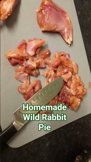 Catch and cook wild rabbit #hunting #cooking #Rabbit #shooting #wales #uk #gamecooking