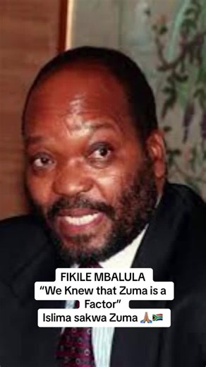 SA Political Views on TikTok