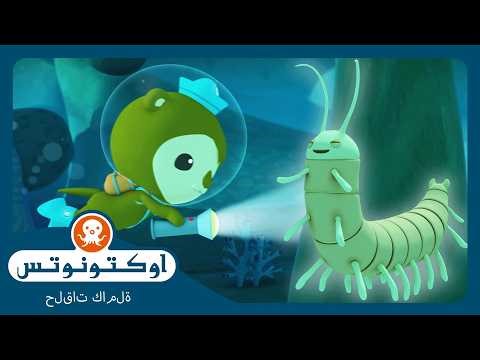 أوكتونوتس | ✨ ريميبيدس 🐛 | السلسلة 1 | الحلقة 13