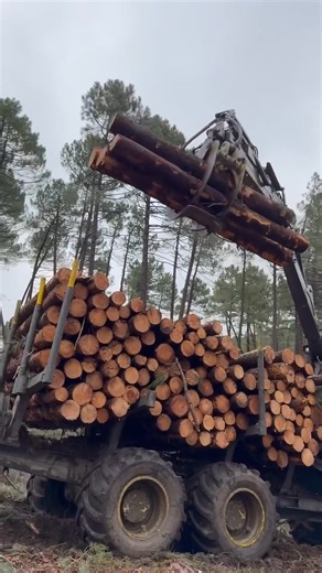 how to load wood on the 1510g forwarder #trending #johndeere #automobile #viral #wood #tree #love | Barbara Lopez