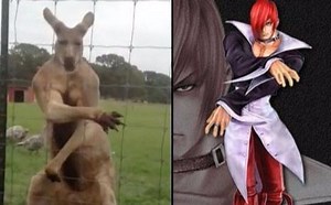 【MMA教学】综合格斗的功力训练