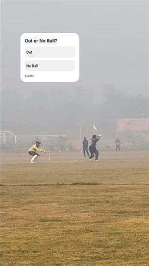 Faster Stumping #cricket #shorts #cricketlover ‪@MasterYuvanchaudhary‬ ‪@PowerplayAdarsh‬