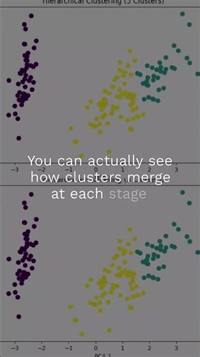 Day 5 of ML Learning Phase 2: Hierarchical Clustering #shorts #python #coding #ai #ml #ytshorts