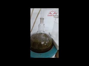 "Eucalyptus Oil Extraction: Natural Remedy from Leaves to Oil" | DAWN HIGH SCHOOL | Hyderabad