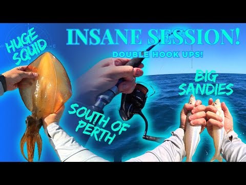 INSANE Double Hook-Ups! | MONSTER Squid and Whiting South of Perth