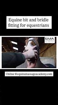 Bit and Bridle fitting for owners #horse #equestrian #horseowner #horses