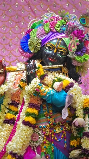 Today's darshan of shri shri radha govind 💙#radha #darshan
