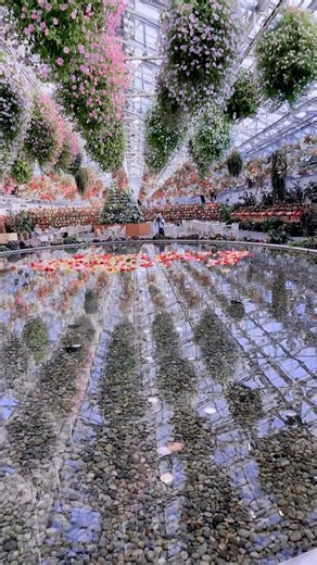 #onsen #onsenexperience #japan #winter