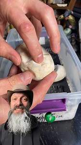 263K views · 3.9K reactions | Let's cut this clutch! | The Molinaro Snake Lab | Facebook