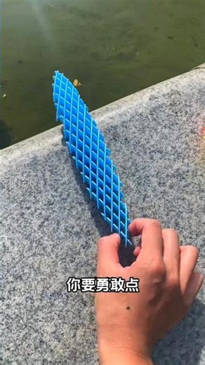 🌈 Funny Bug Experiment All Jumped Except One Bug 😲