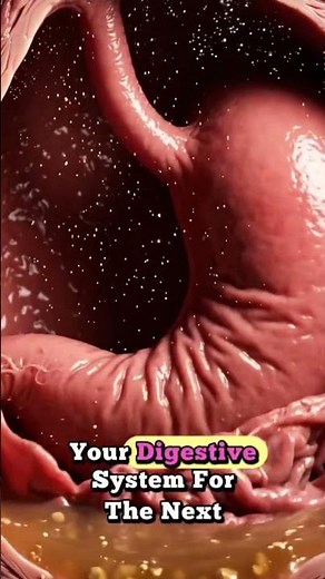 🥇 Why Does Your Stomach Growl? 😳