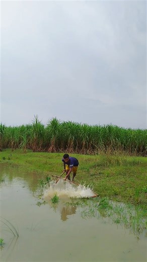 Using the drag net, I experienced catching different kinds of fish today #fishing