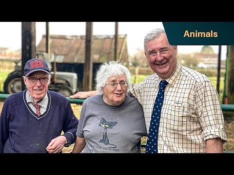 Mabel’s Mystery Illness | The Yorkshire Vet