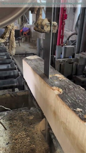 Cutting Through Wood: How Machines Shape Our Future