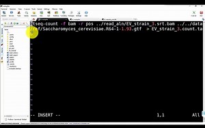教我老弟学生信第7天 酵母RNA seq的htseq count步骤