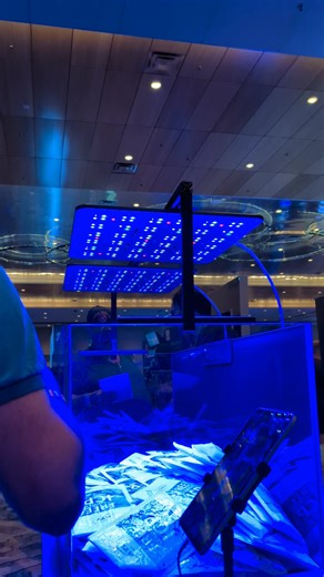 Light, redefined. ⚡️🪸 Meet the ATI Straton Pro G2 — where innovation meets elegance. The thinnest light in its class, engineered for power, precision, and beauty. Designed not just to illuminate, but to inspire. #atiaquaristik #stratonpro #reeftank #coralreeftank #aquariumhobby | Xodis