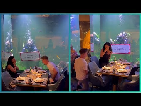 Top 18 Surprise Marriage Proposals ( Proposal Ideas )