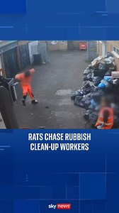 CCTV footage shows rats chasing clean-up workers as they try to collect rubbish in Birmingham 🐀 #rat #bins #birmingham | Sky News