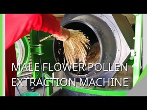 Male Flower Pollen Extraction Machine for Dates