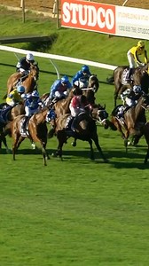 “Hemlock Stone at any old odds…” Last year’s TABtouch-Perth Cup produced a massive boilover, with Hemlock Stone charging home at $91! 😮 Tomorrow, the 2026 edition is upon us, with Apulia at the top of the market as a short-priced favourite. 🏇 Could we see another upset? 👀✨ Racing WA Thoroughbred Belhus Racing Stables | Perth Racing