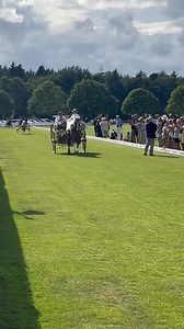 British Driving Society on Reels