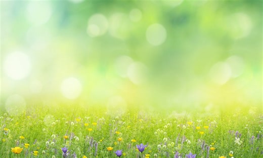 Spring Framework 7 brings new concept for null safety and relies on Java 25