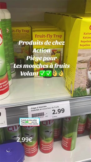 Pièges efficaces pour mouches à fruits - Action