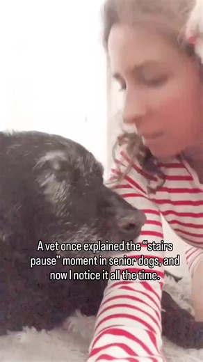 The moment your senior dog reaches the stairs. And pauses. Just for a second. They look up. Then they climb. Step by step. A little slower than they used to. Maybe you notice it. Maybe you do not. Because they still make it up. They still follow you. They still want to be wherever you are. But senior dogs are very good at adjusting to their bodies as they age. They move more carefully. They think before they step. They shift their weight to stay balanced. Not because they want to stop. But becau