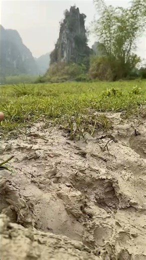 信じられない! こんな簡単に体がキレイに ##アウトドア #outdoorlife #survival_skills