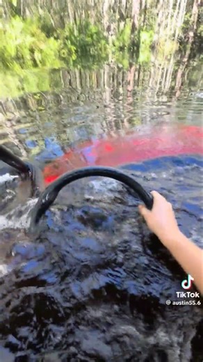 Memes From The Discord Dumpster