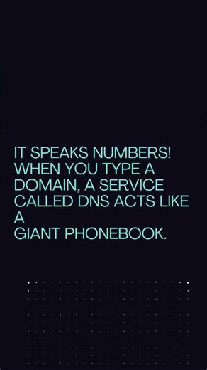 What is a Domain Name? 🌐 | BitByBit Tech