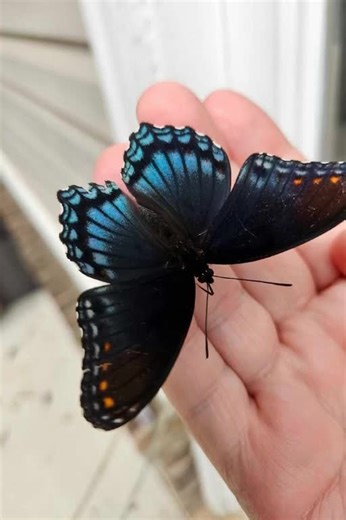 I great sign from my guides. #awakening #spirituality #spiritguidewisdom #sign #sourceenergy