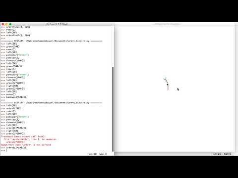 Initiation à Python : L'arbre binaire