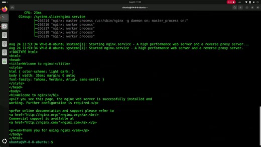 ubuntu24.04安装nginx