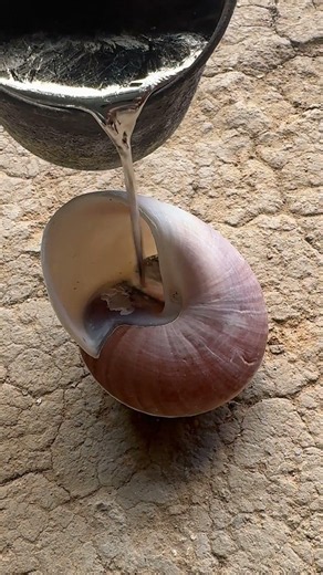 Destroying A Shell To Reveal Pure Metal! #satisfying #diy #casting