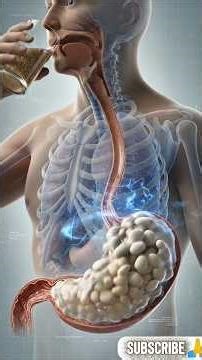 Chia seeds. What happens when you take them everyday.