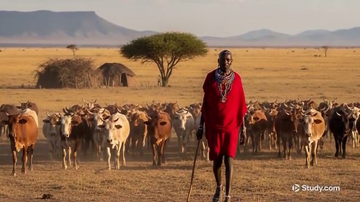Pastoralism | Definition & Origin