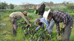 Helping to teach farming and turn backyards into a tiny farms | Everyday Heroes