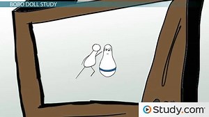 Bandura's Bobo Doll Experiment | Summary & Social Learning