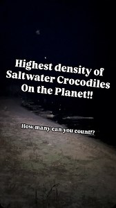 24K views · 5.2K reactions | The Mary River in the Northern...