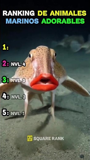 Ranking the Cutest Sea Animals ✨🐬